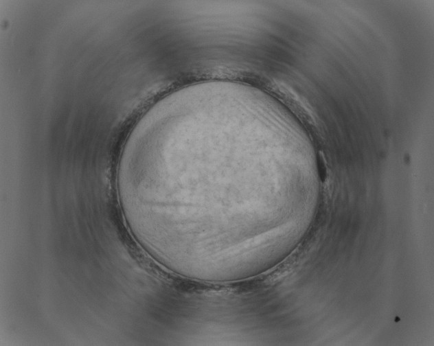 X0000087380306200705181249