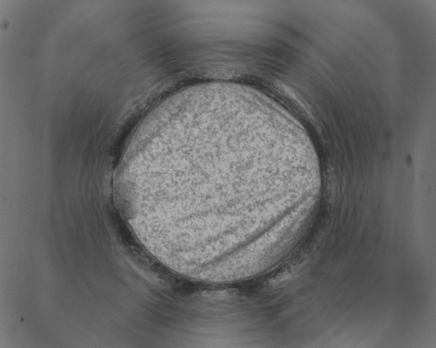 X0000087380307200705181249