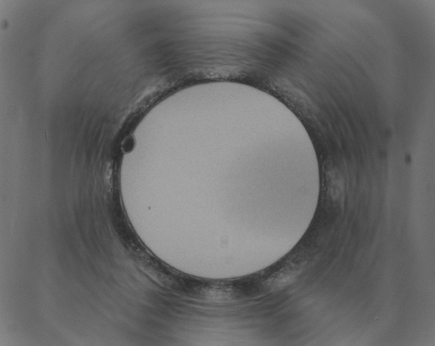 X0000087380308200705181249