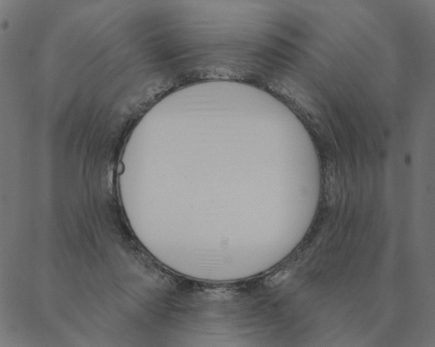 X0000087380310200705181249