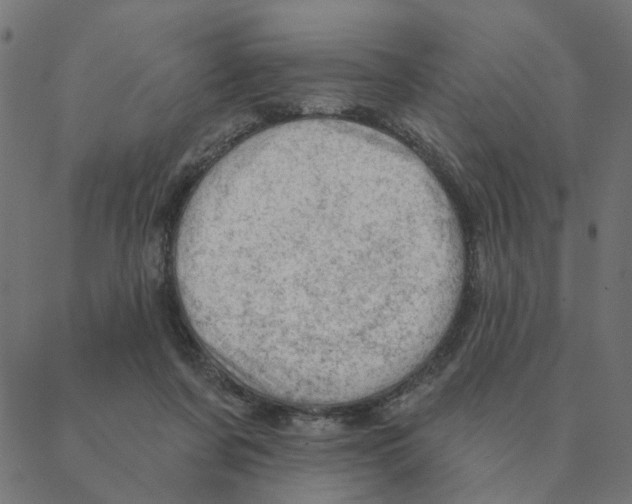 X0000087380311200705181249