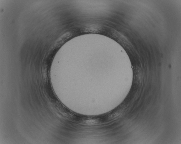 X0000087380312200705181249