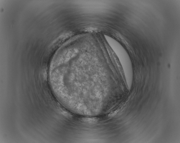 X0000087380313200705181249