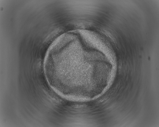 X0000087380314200705181249