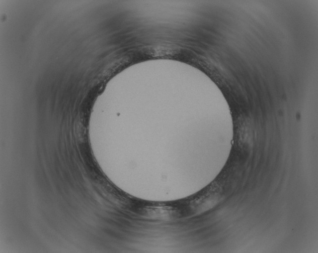 X0000087380316200705181249