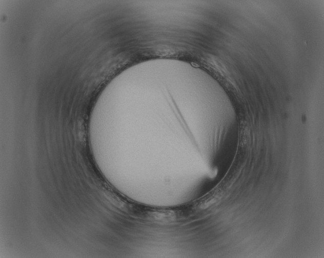 X0000087380317200705181249