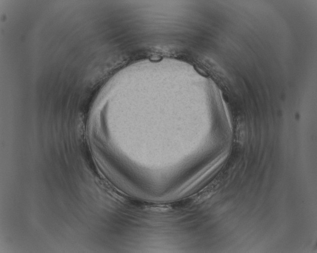 X0000087380318200705181249