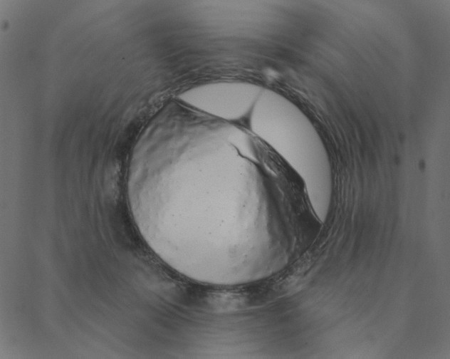 X0000087380319200705181249