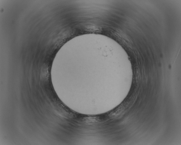 X0000087380320200705181249