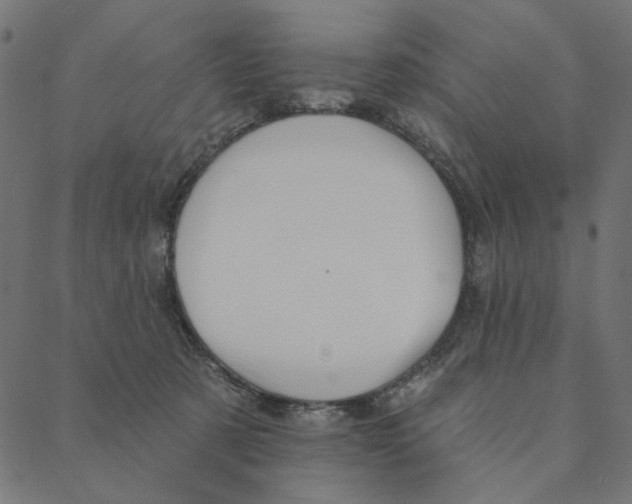 X0000087380321200705181249