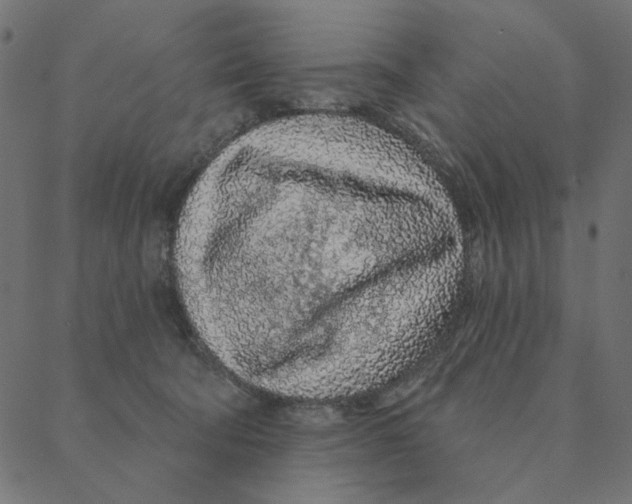 X0000087380322200705181248