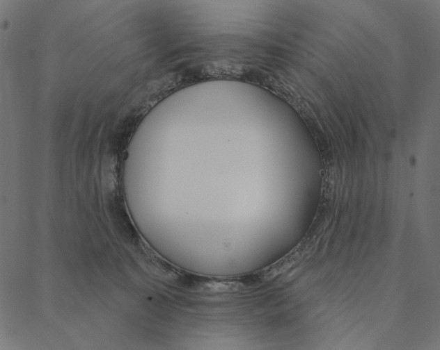 X0000087380323200705181248