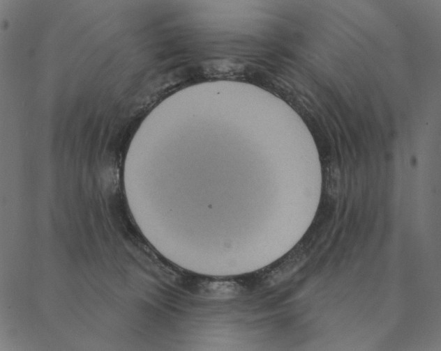 X0000087380324200705181248