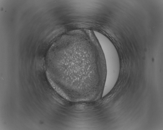 X0000087380325200705181248