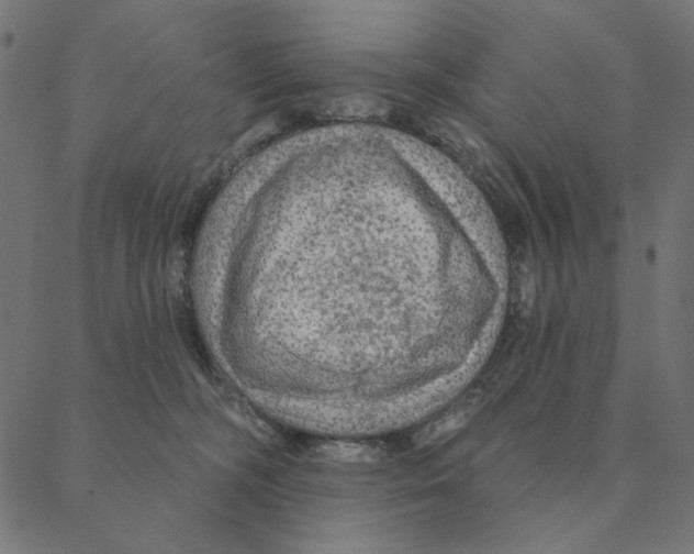 X0000087380326200705181248