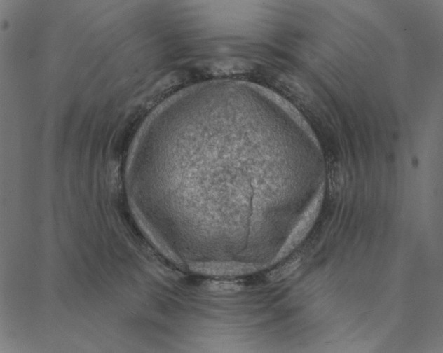 X0000087380327200705181248