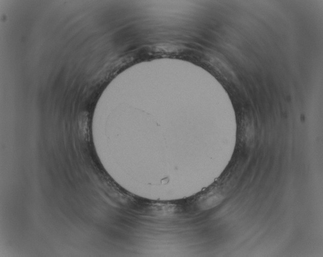 X0000087380328200705181248