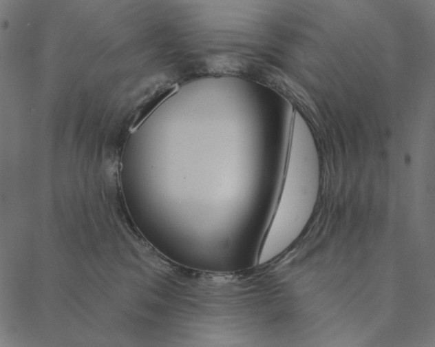 X0000087380329200705181248