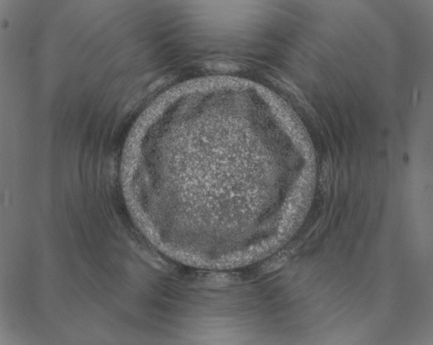 X0000087380330200705181248