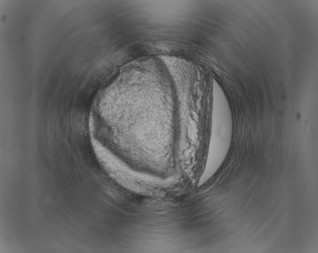 X0000087380331200705181248