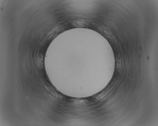 X0000087380332200705181248