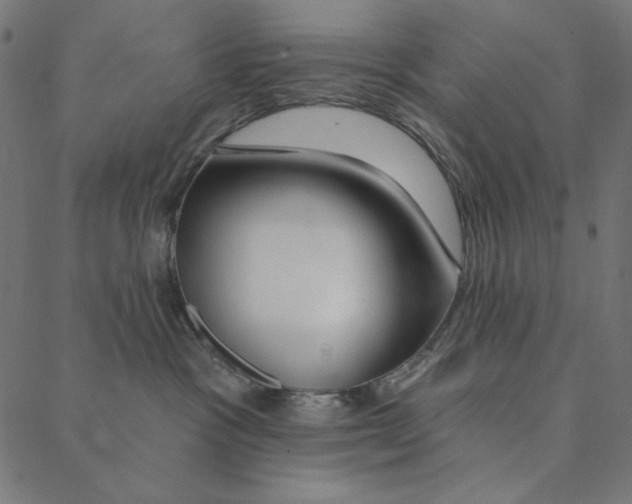 X0000087380333200705181248