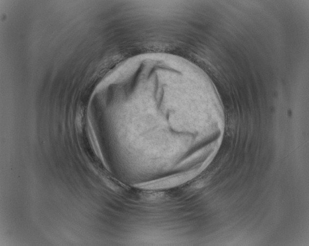 X0000087380334200705181248