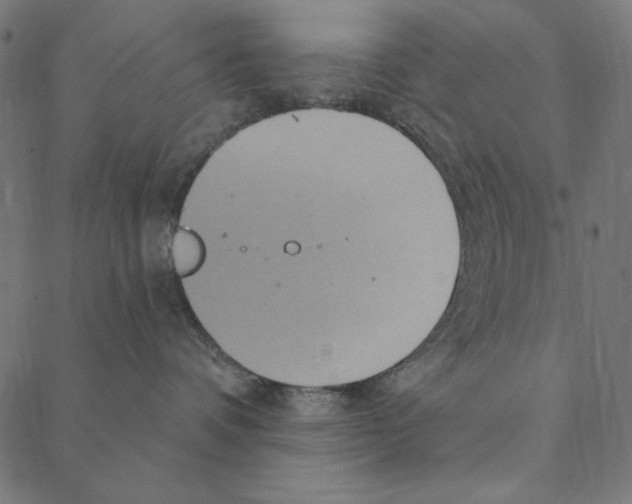 X0000087380336200705181248