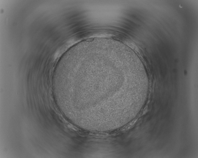 X0000087380337200705181247