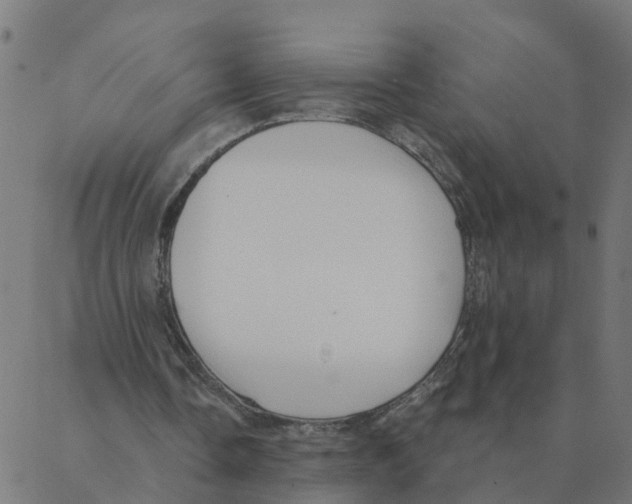 X0000087380338200705181247