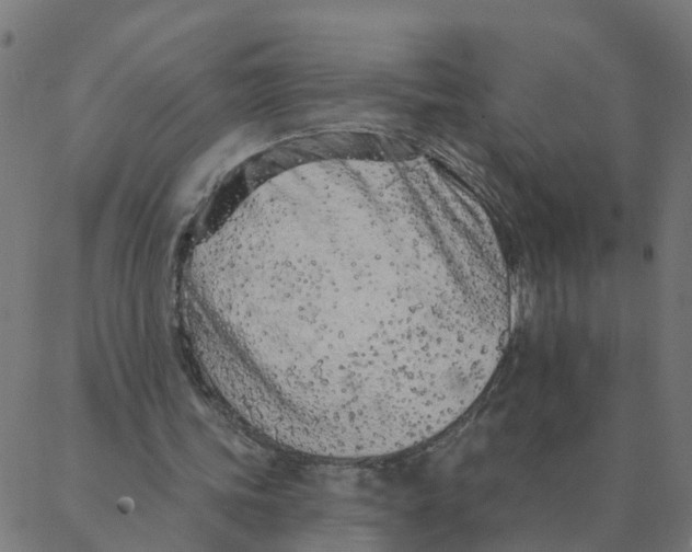 X0000087380339200705181248