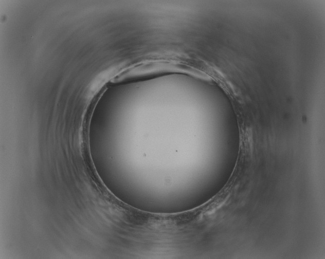 X0000087380340200705181248