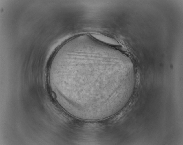 X0000087380342200705181248