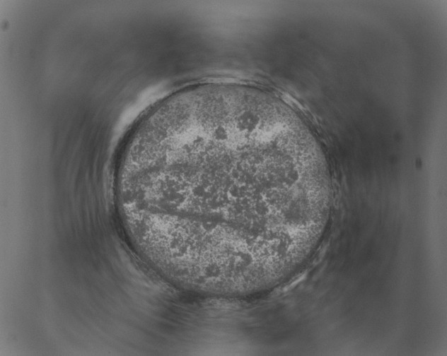 X0000087380343200705181248