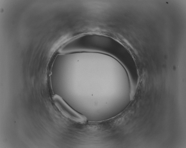 X0000087380344200705181248