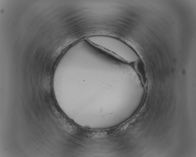 X0000087380345200705181248