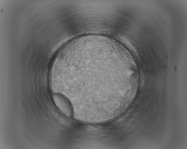 X0000087380346200705181248