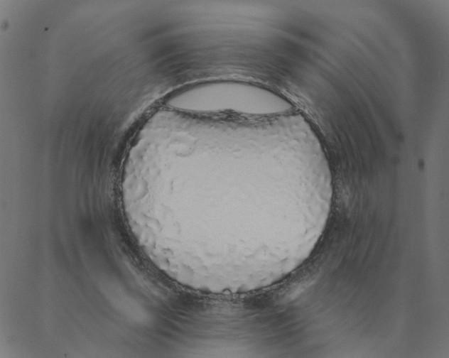 X0000087380347200705181248