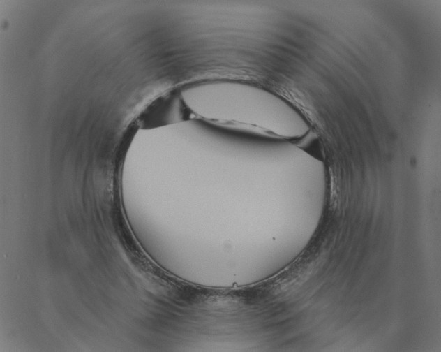 X0000087380348200705181248