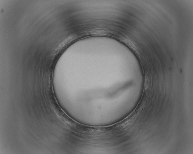 X0000087380349200705181248