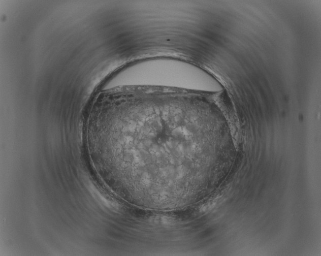 X0000087380350200705181248