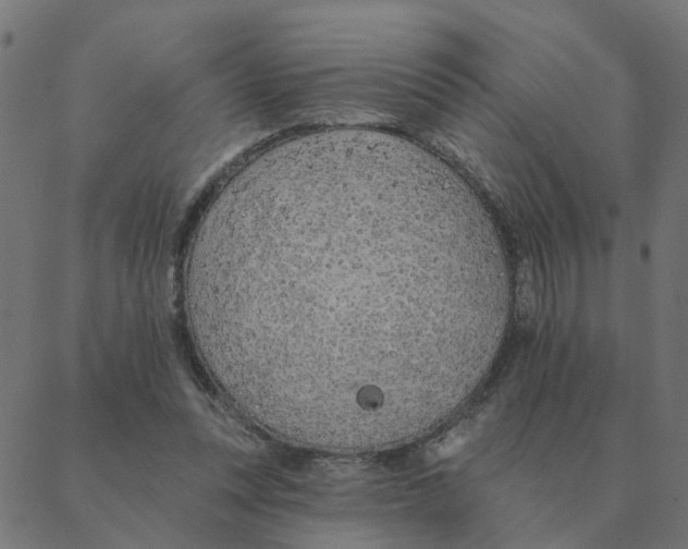 X0000087380351200705181248