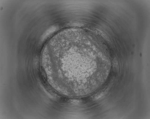 X0000087380352200705181248