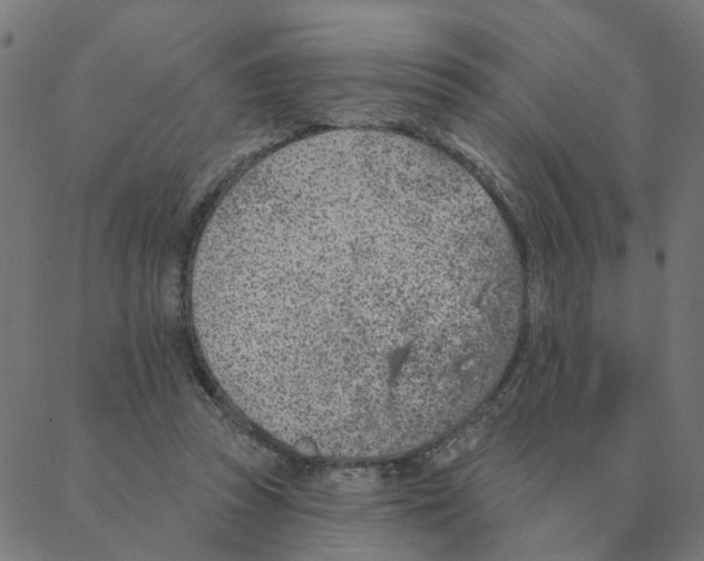 X0000087380353200705181248