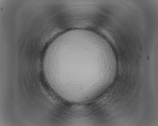 X0000087380354200705181248