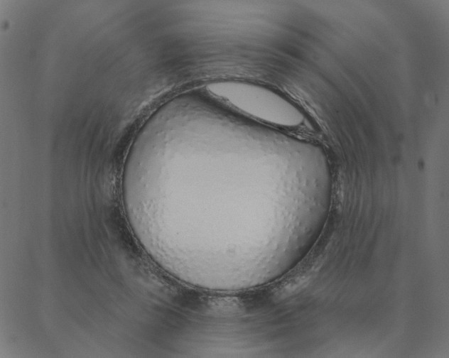 X0000087380355200705181248