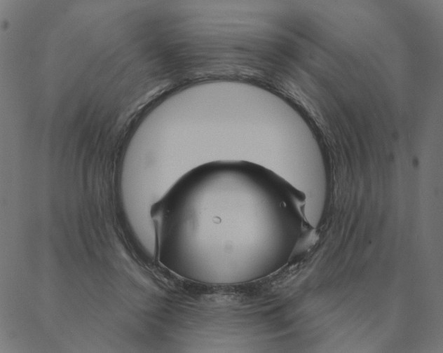 X0000087380356200705181248