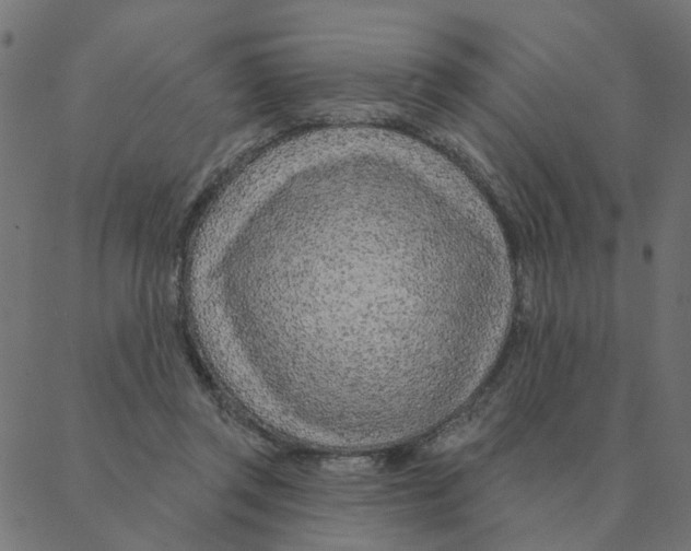 X0000087380357200705181248