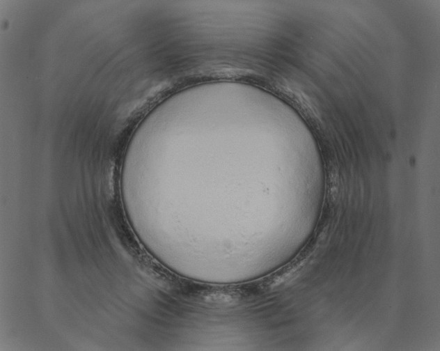 X0000087380358200705181248