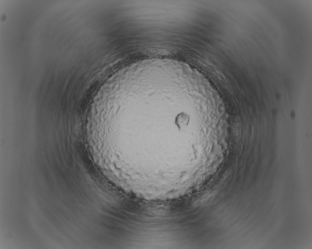 X0000087380359200705181248